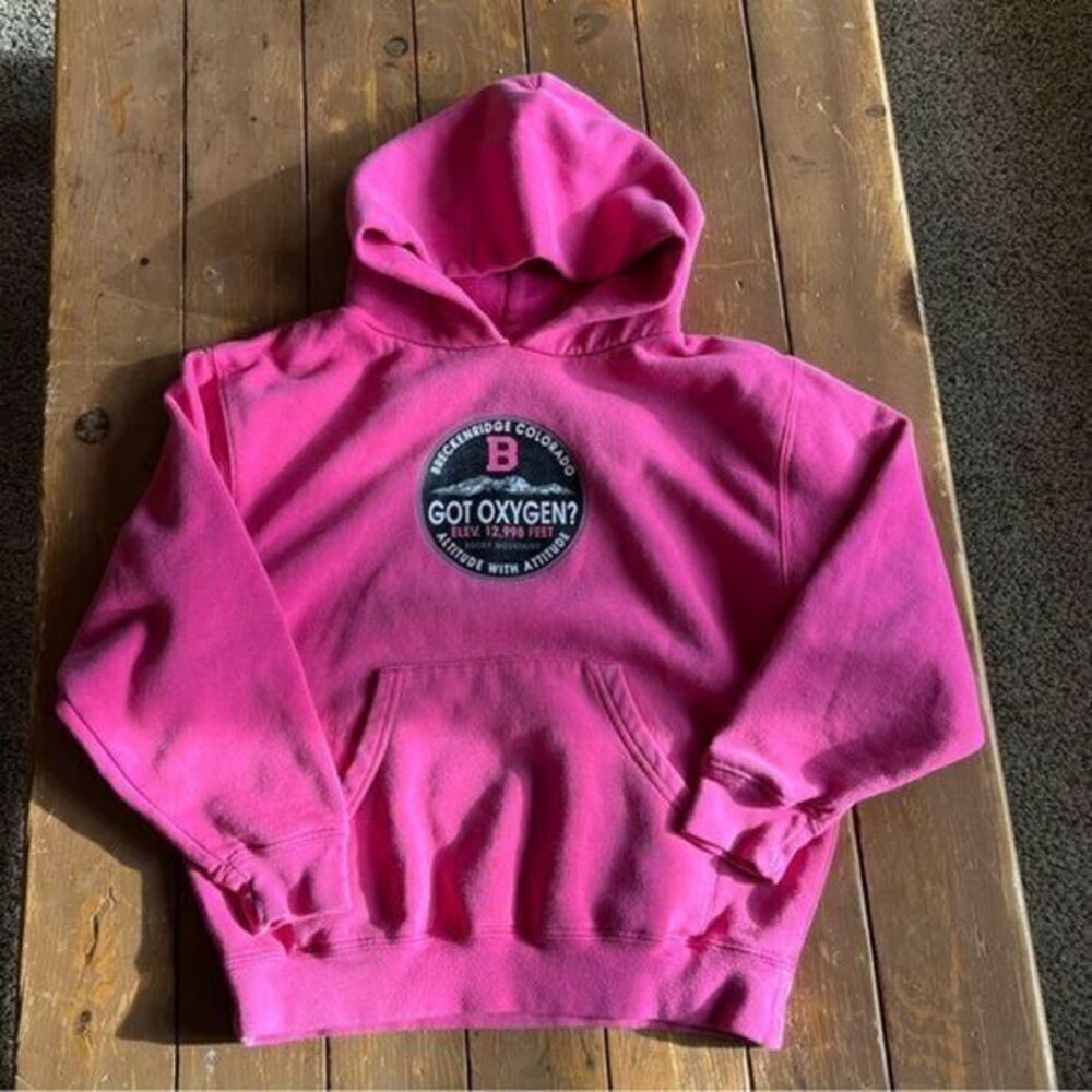 Jansport Breckenridge Colorado Hoodie